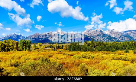 Herbst Farben umgibt, und die Wolke bedeckte Gipfel der Grand Tetons in Grand Tetons National Park. Von Schwarz mit Blick auf die Teiche in der Nähe von Jackson Hole WY gesehen Stockfoto