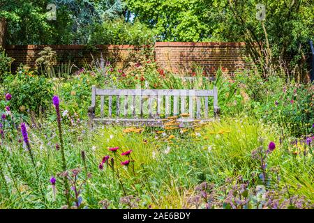 Rustikale Holzbank unter einem Feld von Wildblumen in einem Ummauerten Englischen Garten genommen Stockfoto