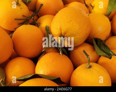 Orangen an der Theke auf dem türkischen Markt. Stockfoto