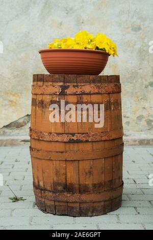 Foto von Blumen im Topf draußen auf alten Faß. Stockfoto