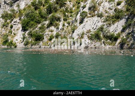 Die Verschmutzung mit leeren PET-Flaschen auf dem komani See in Albanien Stockfoto