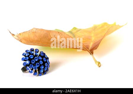 Bild eines Schmuck- und Herbst Blatt auf weißem Hintergrund Stockfoto