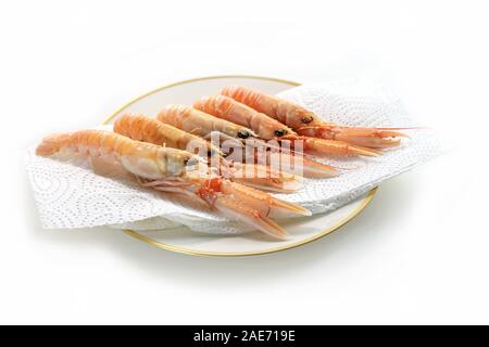 Mehrere frische Scampi auch genannt Kaisergranat oder Langustinen für Vorbereitung, teure Meeresfrüchte auf ein Papiertuch auf einer Platte, weißer Hintergrund Stockfoto