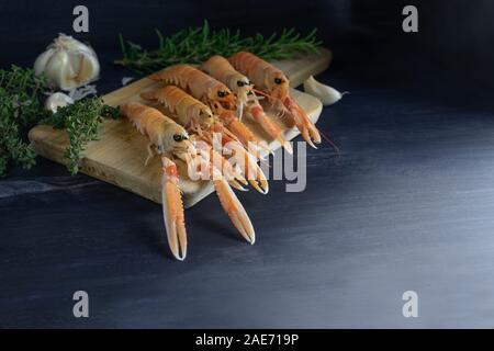 Frische Scampi, auch genannt Scampi oder Kaisergranat auf einem Schneidebrett, Knoblauch und Kräuter, Zutaten für ein teures, Meeresfrüchte essen für ein festliches Stockfoto