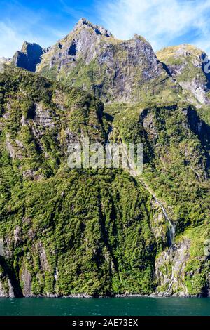 Spektakuläre fjord Landschaft im Milford Sound, Fiordland National Park, Neuseeland. Stockfoto