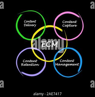 Komponenten von Enterprise Content Management Stockfoto