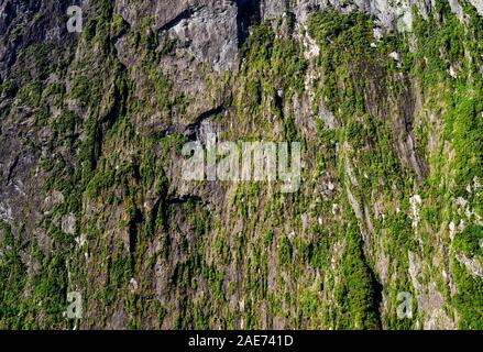 Spektakuläre fjord Landschaft im Milford Sound, Fiordland National Park, Neuseeland. Stockfoto