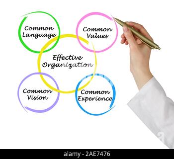 Effektive Organisationen Stockfoto