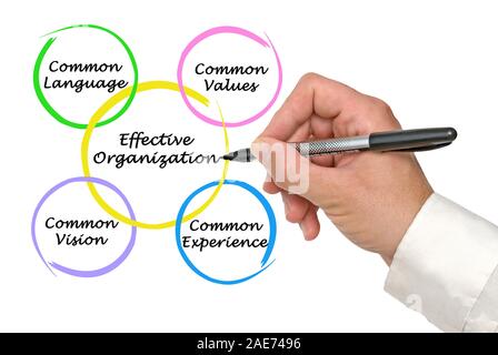 Diagramm der effektiven Organisationen Stockfoto