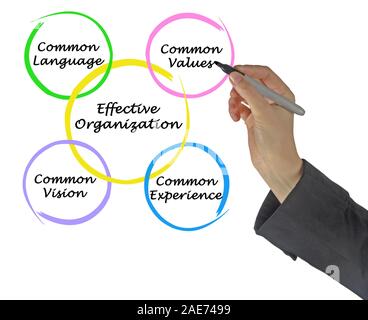Diagramm der effektiven Organisationen Stockfoto
