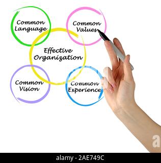 Effektive Organisationen Stockfoto
