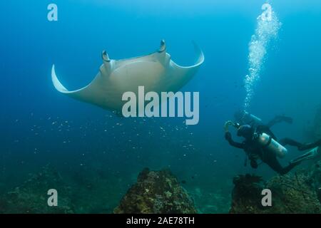 Weibliche SCUBA Diver Fotografieren einer großen ozeanischen Manta Ray auf einem Korallenriff in Thailand Stockfoto