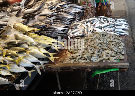 Frische Fische zum Verkauf auf der Zähler im Fischgeschäft in Sri Lanka Stockfoto