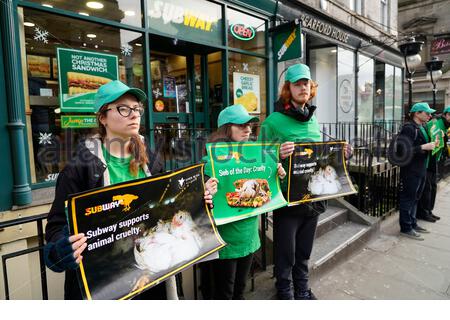 Edinburgh, Schottland, Großbritannien. 7. Dez 2019. Protest außerhalb Subway Restaurant kette in Hanover Street, Protest Huhn Grausamkeit!. Tierrechtsgruppe offenen Käfigen friedlich einen großen britischen Restaurant für Grausamkeit nach Hühner protestieren. Quelle: Craig Brown/Alamy leben Nachrichten Stockfoto