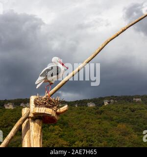 Die Abbildung eines einsamen Storch im Nest vor dem Hintergrund der Berge überwachsen mit Wald und bewölkter Dramatischer Himmel Stockfoto