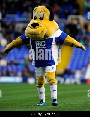 23.Oktober 2010 - Premier League Fußball - Birmingham City Vs Blackpool - Birmingham City Maskottchen - 'Beau Brummie'. Fotograf: Paul Roberts/Ein. Stockfoto