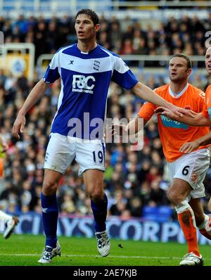 23.Oktober 2010 - Premier League Fußball - Birmingham City Vs Blackpool - Nikola Zigic. Fotograf: Paul Roberts/Ein. Stockfoto