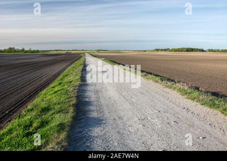 Schotterstraße durch gepflügten Feldern, Horizont und weißen Wolken am blauen Himmel Stockfoto