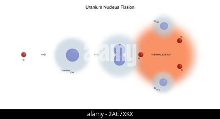 Uran 235 Kern Kernspaltung - Elementarteilchen Physik Theorie Stockfoto