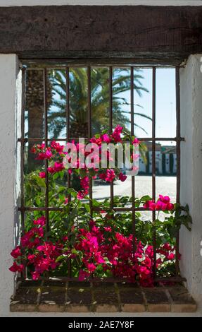 Traditionelle andalusische Architektur mit weiß getünchten Wänden und Fenstern voller Blumen Stockfoto