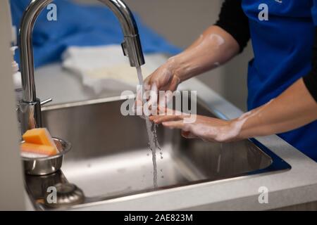 Ein Tierarzt geht durch eine gründliche pre-Chirurgie Praxis der Schrubben und dann gowning für Chirurgie. Stockfoto