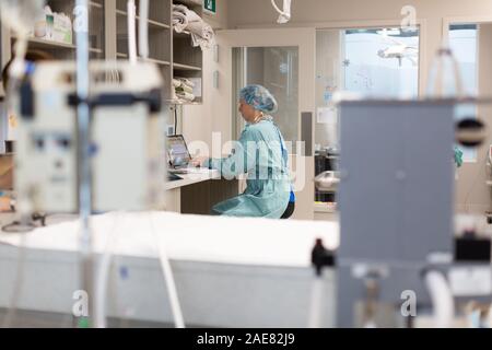 Ein Tierarzt macht sich Notizen nach einer Operation auf einem Hunde-. Stockfoto