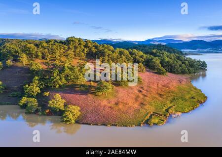 Lizenzfreie, hochwertige Luftansicht des Pink Grass Field am Suoi Vang Lake, da Lat, Vietnam. Stockfoto