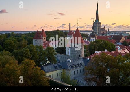 Die Luftaufnahme von Tallinns Altstadt von der Aussichtsplattform auf Toompea Hügel, Estland Stockfoto