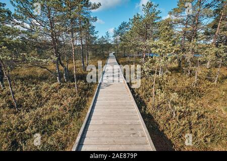 Die Landschaft rund um Wanderweg von Viru Moor, eines der am besten zugänglichen Moore in Estland, in Lahemaa Nationalpark entfernt Stockfoto