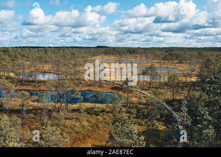 Die Landschaft rund um Wanderweg von Viru Moor, eines der am besten zugänglichen Moore in Estland, in Lahemaa Nationalpark entfernt Stockfoto