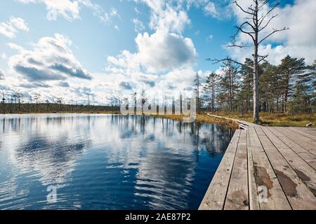 Die Landschaft rund um Wanderweg von Viru Moor, eines der am besten zugänglichen Moore in Estland, in Lahemaa Nationalpark entfernt Stockfoto