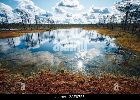 Die Landschaft rund um Wanderweg von Viru Moor, eines der am besten zugänglichen Moore in Estland, in Lahemaa Nationalpark entfernt Stockfoto