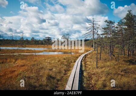 Die Landschaft rund um Wanderweg von Viru Moor, eines der am besten zugänglichen Moore in Estland, in Lahemaa Nationalpark entfernt Stockfoto