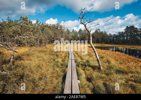 Die Landschaft rund um Wanderweg von Viru Moor, eines der am besten zugänglichen Moore in Estland, in Lahemaa Nationalpark entfernt Stockfoto