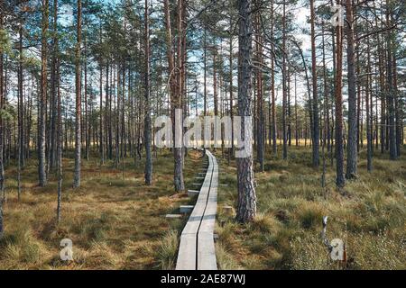 Die Landschaft rund um Wanderweg von Viru Moor, eines der am besten zugänglichen Moore in Estland, in Lahemaa Nationalpark entfernt Stockfoto