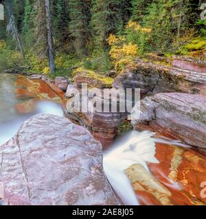 Deadwood fällt auf Reynolds Creek im Herbst im Glacier National Park, Montana Stockfoto