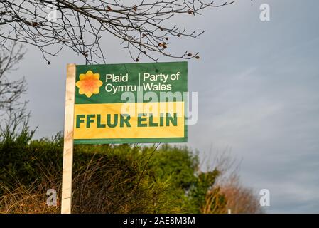 PONTYPRIDD, WALES - Dezember 2019: Schild im Garten eines Hauses Unterstützung der Plaid Cymru Kandidat für den Bereich in der BRITISCHEN allgemeinen Wahl Stockfoto