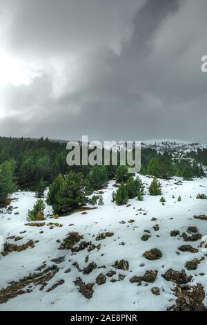 Foto bei Vall de Nuria, Spanien. Herbst im spanisch Pirineos. Stockfoto