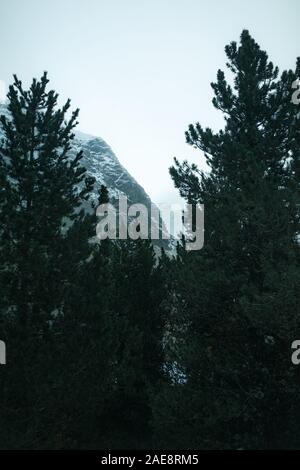 Foto bei Vall de Nuria, Spanien. Herbst im spanisch Pirineos. Stockfoto