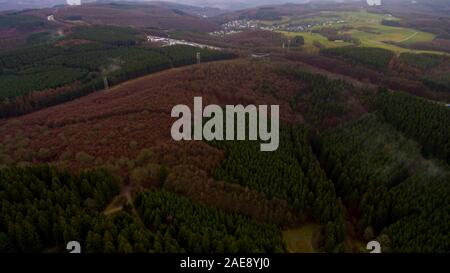 Blick auf den Borkenkäfer Bereich in einem deutschen Fichtenwald, NRW, Deutschland. Von drone genommen. Stockfoto