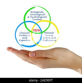 Diagramm der Evidenzbasierten Entscheidungsfindung Stockfoto