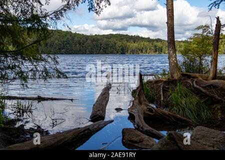 Hemlock Bluff Trail See mit grünen Bäumen und blauer Himmel Stockfoto