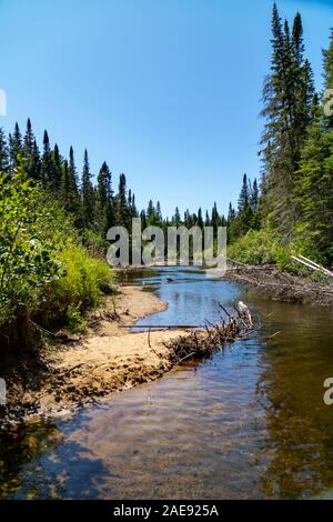 Creek durch grüne Kanadischen Wald mit blauer Himmel Stockfoto