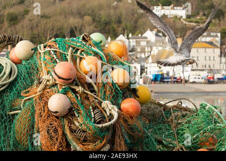Eine Möwe mit einer Krabbe Fliegen von Fischernetzen und schwimmt auf dem Kai in Lyme Regis Hafen. Lyme Regis ist auf der Heritage Coast oder j gelegen Stockfoto