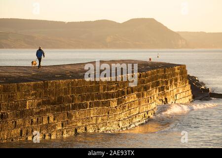 Ein Mann, der seinen Hund auf der dem Cobb bei Sonnenaufgang am Hafen von Lyme Regis an einem frostigen Morgen im Anfang Dezember 2019. Lyme Regis ist Sitzen Stockfoto