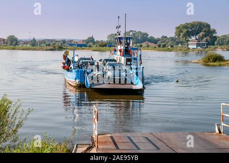 Elbe, Fähre von Bleckede auf Neue Bleckede, Elberadweg, Niedersachsen, Deutschland Stockfoto