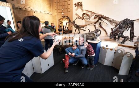 New Haven, CT, USA. 7 Dez, 2019. Dezember 7, 2019 - New Haven, Connecticut: VANESS RHUE, Sammlungen Manager, nimmt Fotos der Besucher des Museums, die mit der entfernten Schädel des Brontosaurus am Yale Peabody Museum in der Großen Halle posieren. Das Museum ist Heimat der ursprünglichen Muster Brontosaurus, zu denen Othniel Charles Marsh, Professor für Paläontologie an der Yale University, den Namen Brontosaurus excelsus 1879 gab. Es ist die erste Phase in einem Museum - breite Schließung für die umfangreichen Renovierungsarbeiten im Peabody Geschichte, die durch Spenden finanziert wird. Das Museum wird am 30. Juni schliessen, Stockfoto