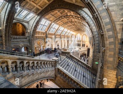 Schöne Architektur des Hintze Hall, London History Museum, Großbritannien Stockfoto