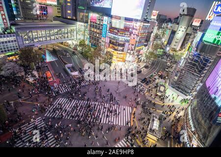 Die meisten berühmten Kreuzung in der Welt. Shibuya, Tokyo, Japan, April 2019 Stockfoto