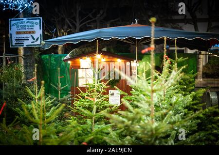 Straßburg, Frankreich - Dez 20, 2016: Weihnachten Marktstand verkaufen schönen elsässischen Tannen aus Nord Vogesen ferme von Herrn Zorn Nordman und Nobilis Tannen zum Verkauf Stockfoto